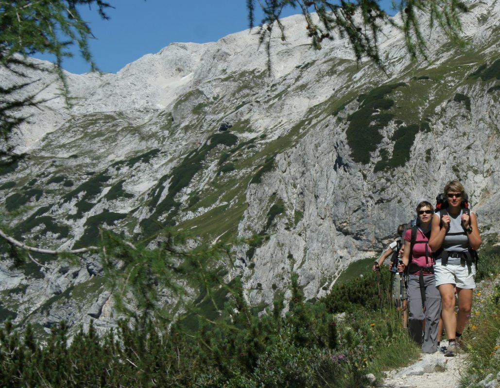 Les Alpes slovènes