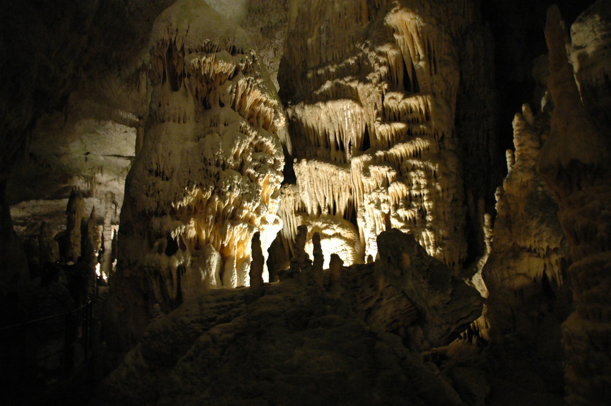 Grotte de Postojna