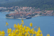 Korcula city