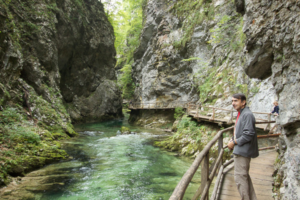 Les gorge de Vintgar, proches de Bled 