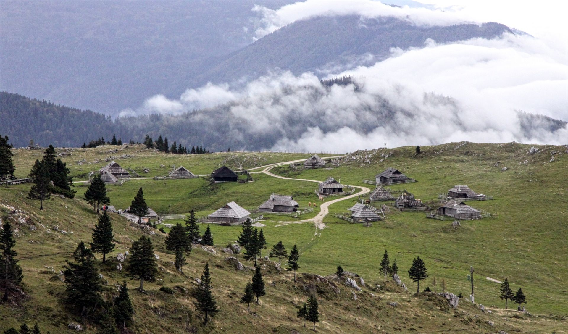 Velika Planina Slovénie