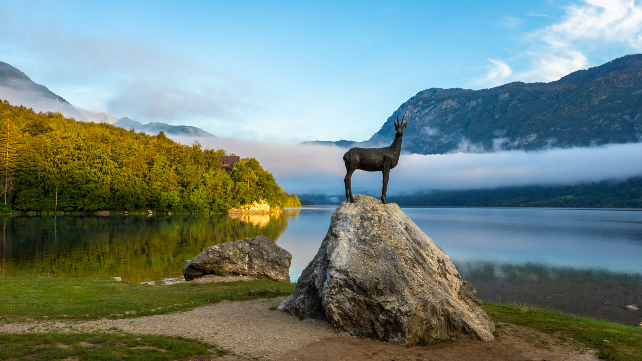 Le la de Bohinj 
