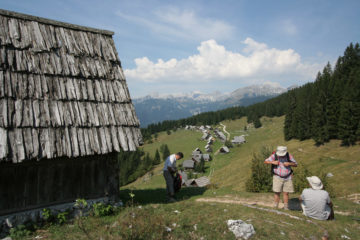 Alpage de Slovénie
